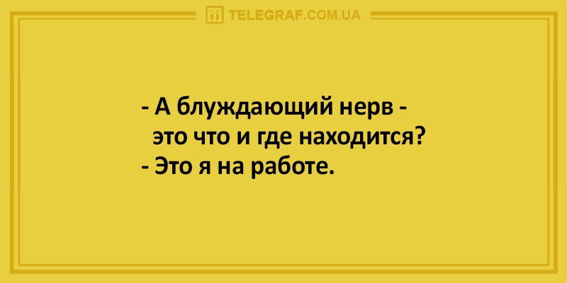 ТЕЬЕСКАРЛОМЛА А блуждающий нерв это что и где находится Это я на работе