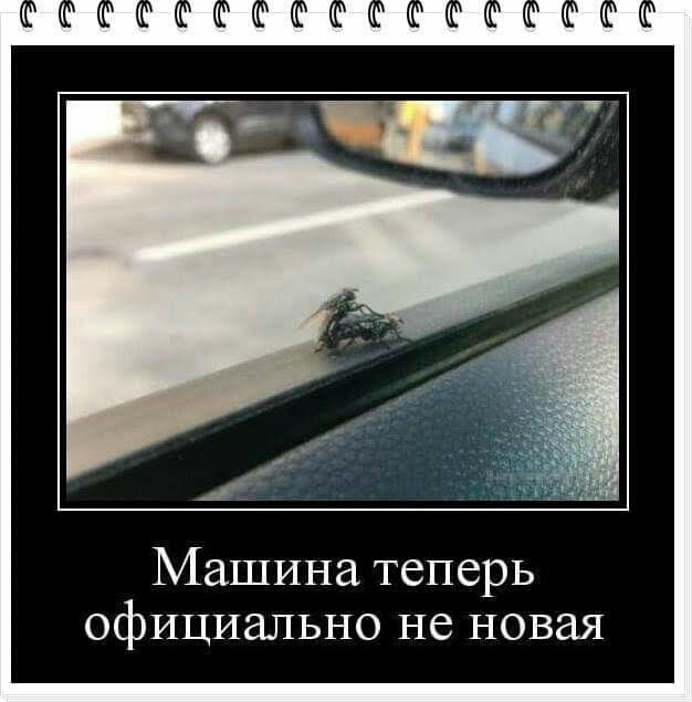 Машина теперь официально не новая
