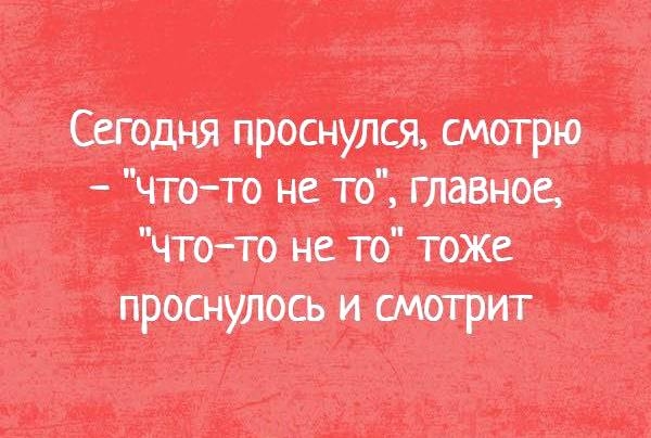 вчттьвтппющ Читжйтш тащишь
