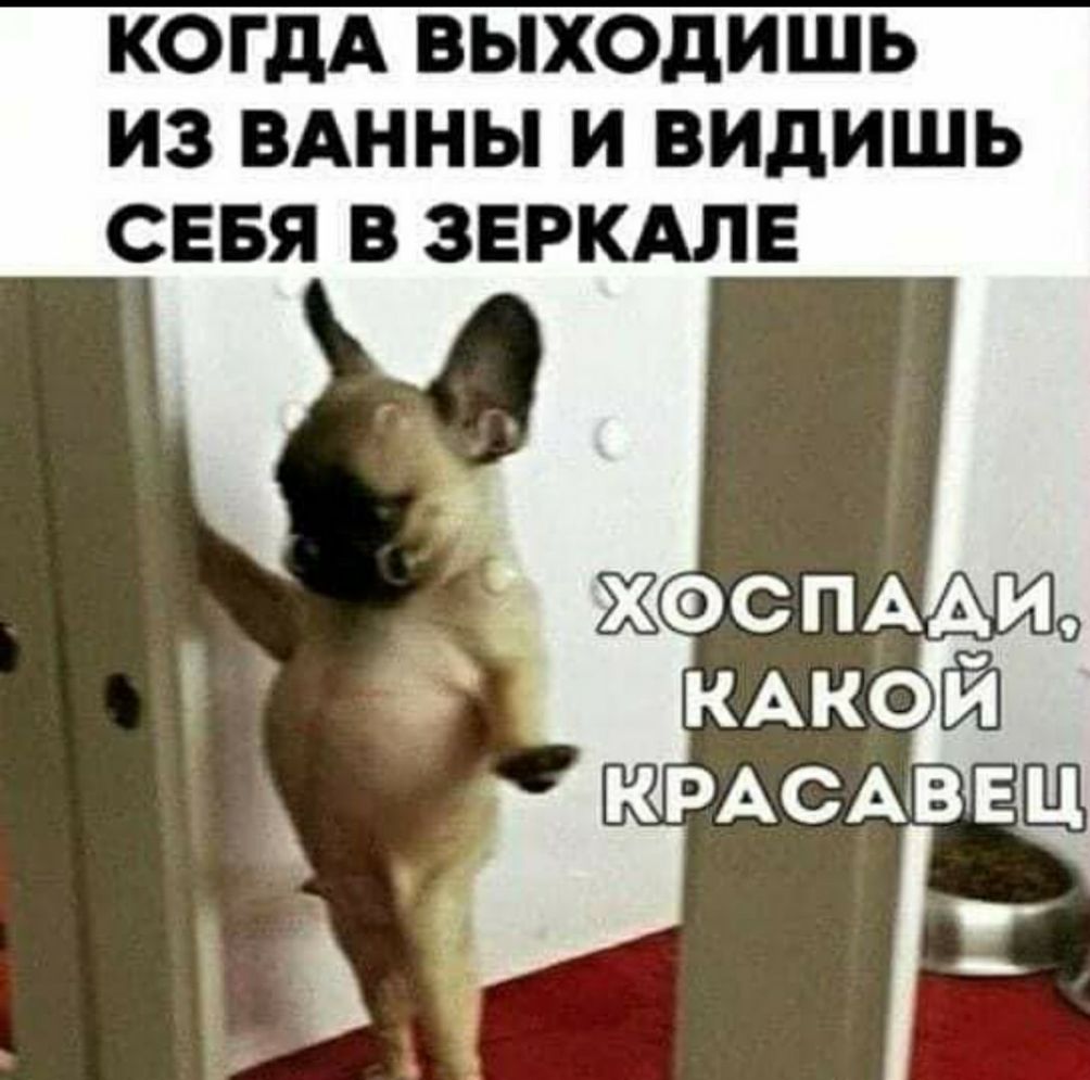 КОГДА ВЫХОДИШЬ ИЗ ВАННЫ И ВИДИШЬ СЕБЯ В ЗЕРКАЛЕ