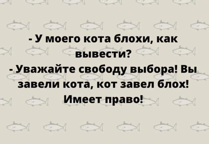 У моего кота блохи как вывести Уважайте свободу выбора Вы завели кота кот завел блох Имеет право