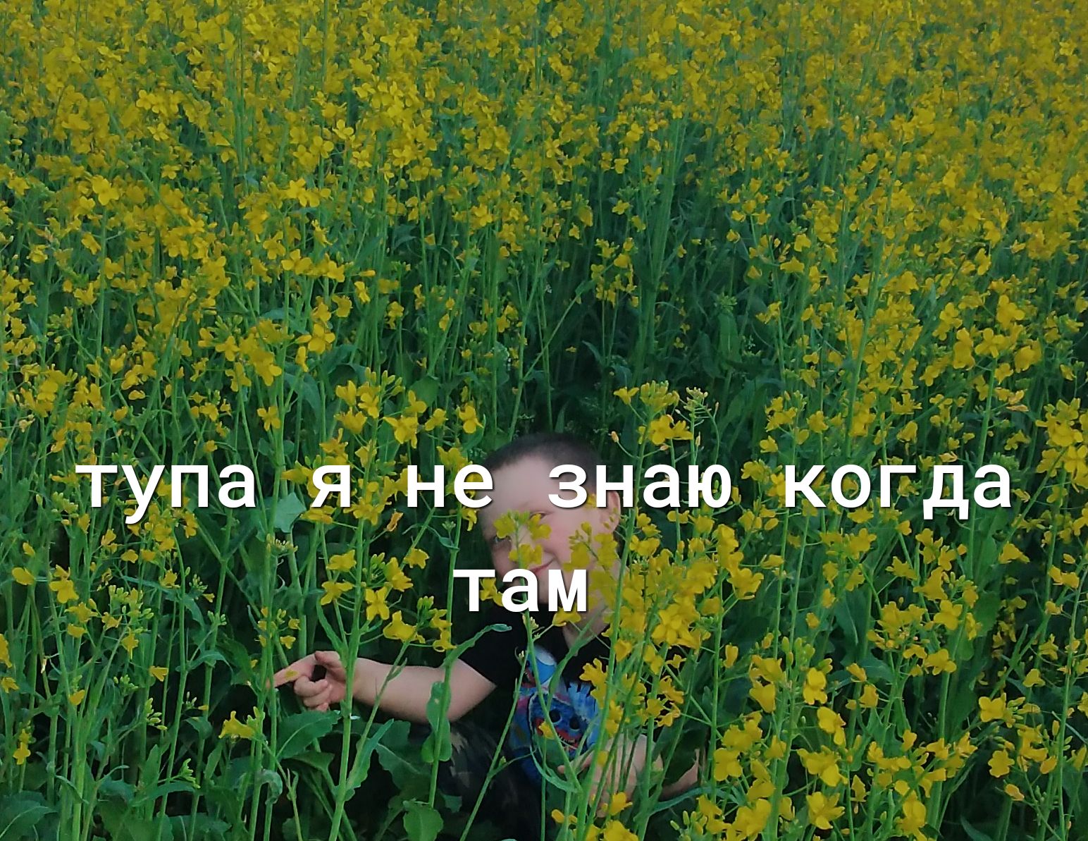 тупа я нечуаіо когда там си д