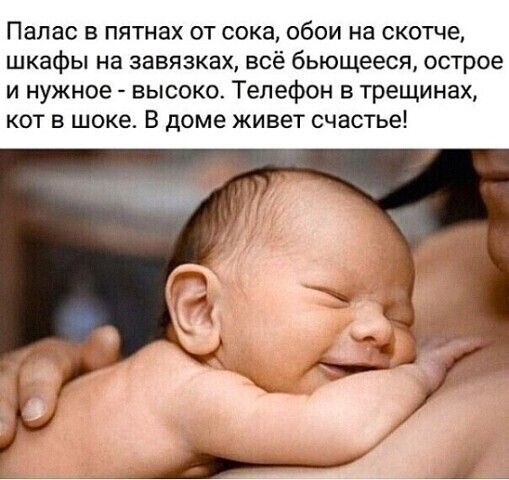 Палас в пятнах от сока обои на скотче шкафы на завязках всё бьющееся острее и нужное высоко Телефон в трещинах кот в шоке В доме живет счастье