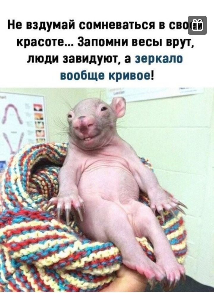 Не вздумай сомневаться в св красоте Запомни весы врут люди завидуют а зеркало вообще кривое