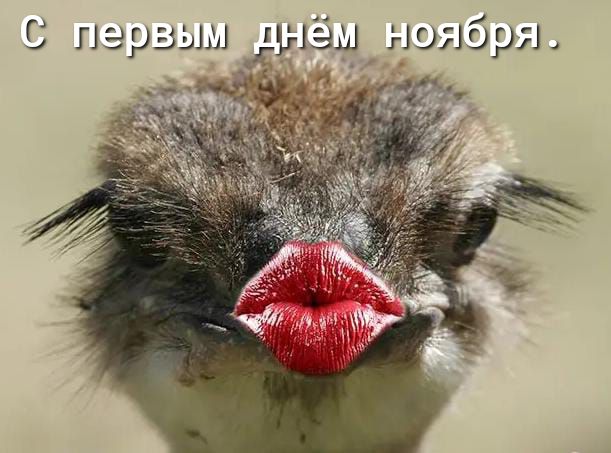 Г Первым __днёы ниибря