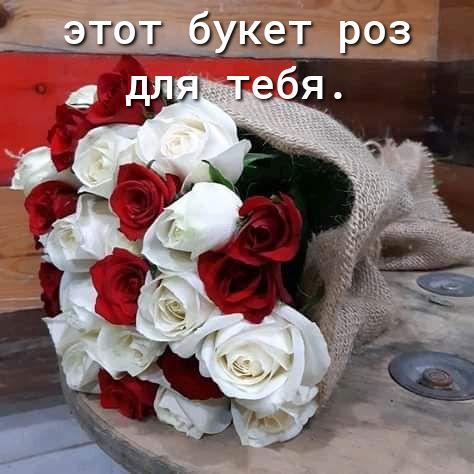 этот кет риз