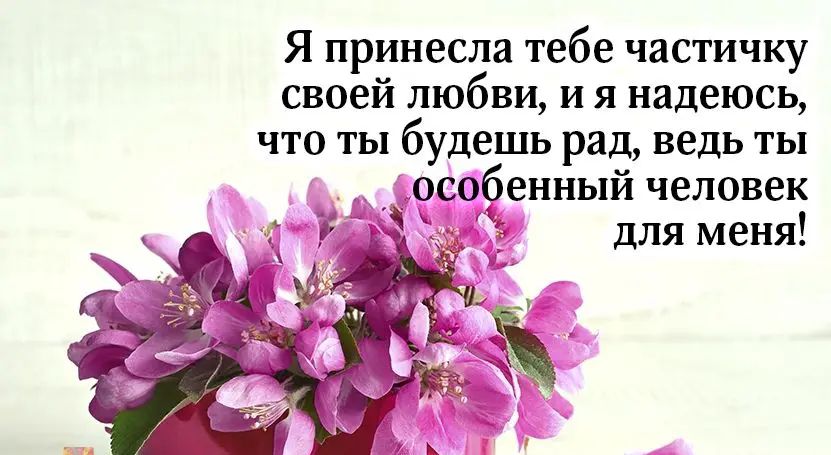 Я принесла тебе частичку своей любви и я надеюсь ЧТО ТЫ будешь рад ведь ТЫ ЬЁ ОСК ениый человек _ для меня