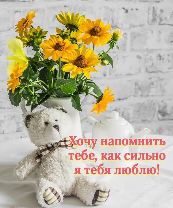 очу напомнить тебе как сильно я тебя люблю