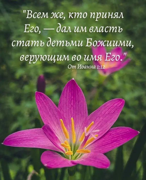 Всем же кто принял Его дал им власть стать детьми В и и верующим во и ОтИпан