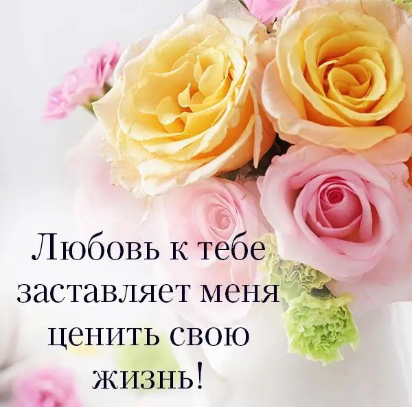 Любовь к тебе заставляет меня _ _ ценить свою Е жизнь дэ