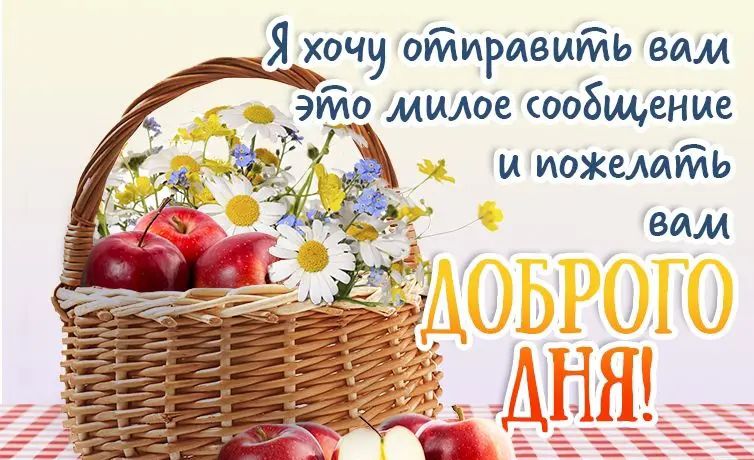 Я хочу оійиривиййь еим 9 0 милое собщение 7 и иожвммь зим