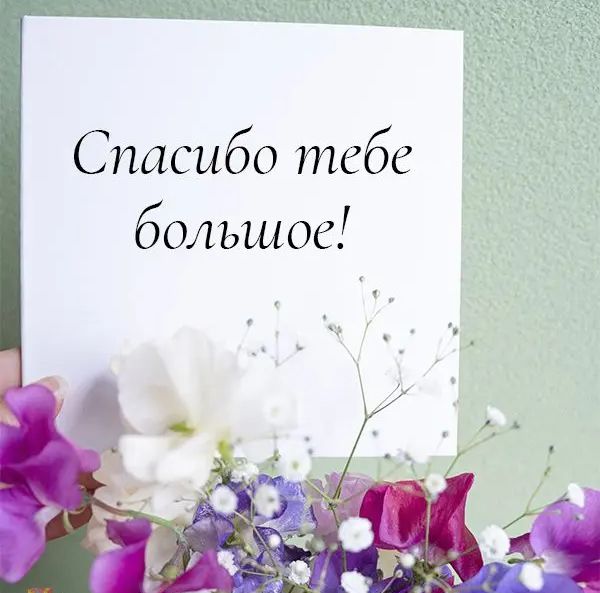 Спасибо тебе большое