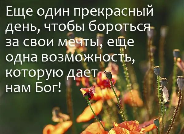 Еще один прекрасный день чтобы боротьсга за свои ЖЕ епче одна воз ность Т которую т н г _ нам Бог _