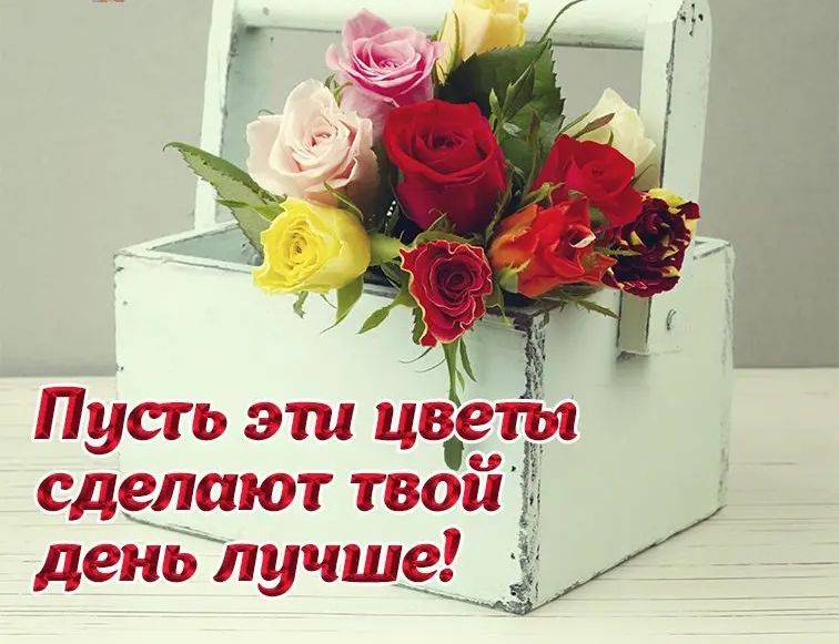 Пусть эти цветы сделают твои день лучше