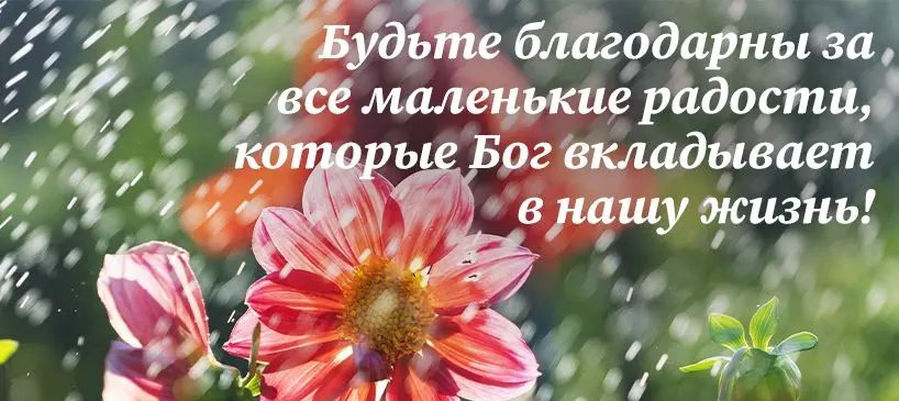 бдеддирныаа емалечите р Ьдостд ог вкладывает в ту жизнь а М_У 2 И гі