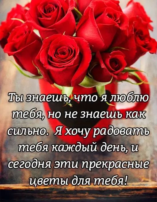 сегодня эти прекрасные