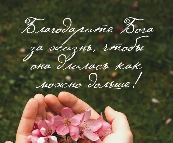 7 ЁЪ више