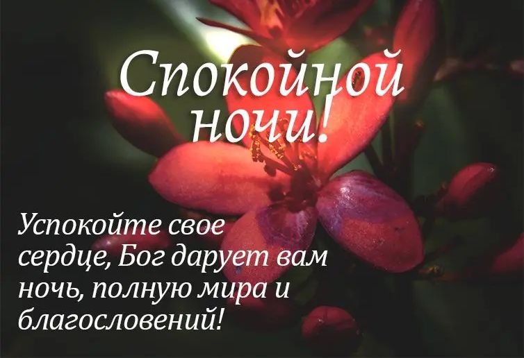 Успокаще св сердце Бог дар ночь полнуюм и благословений