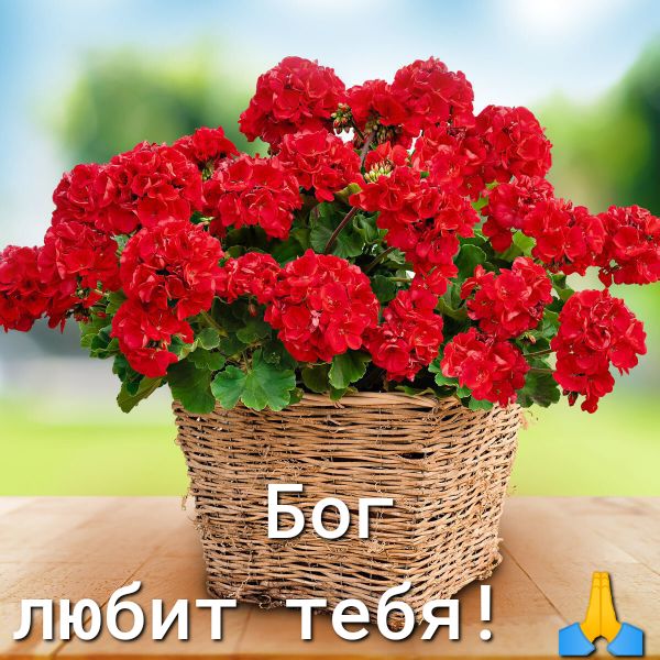 люби ЁЁЪжЁ