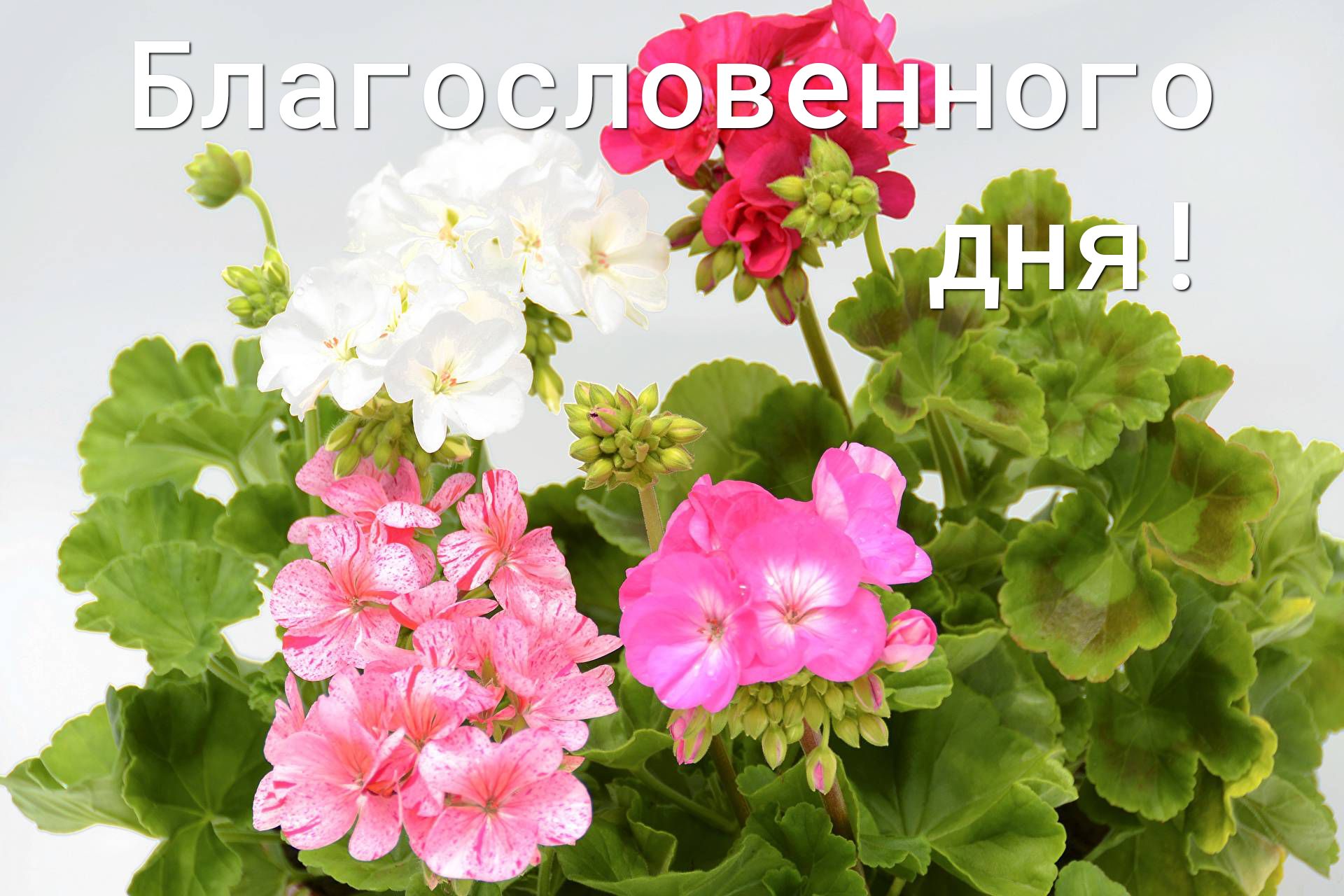 5 Л2 Г о Ле ь