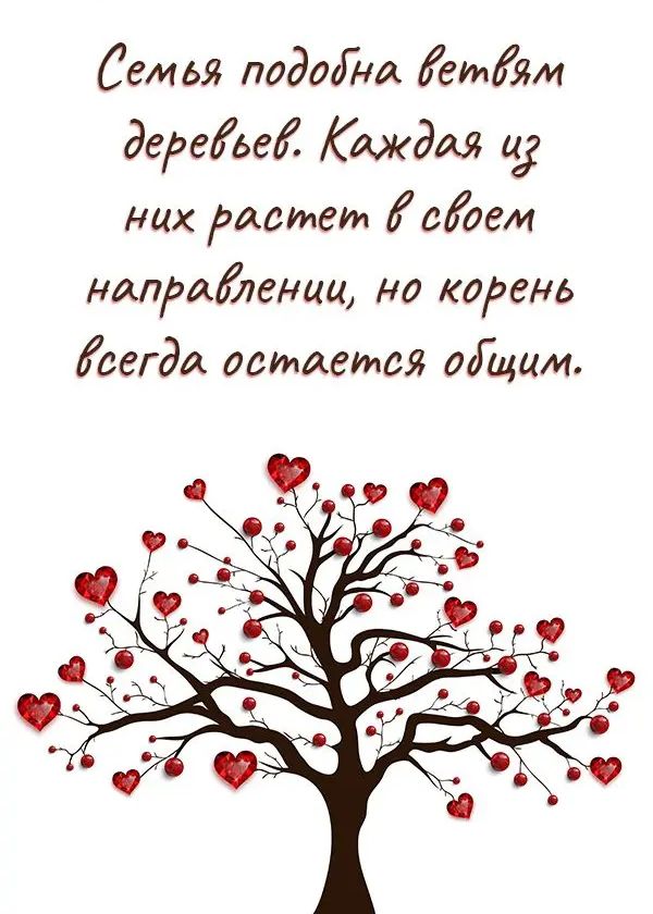 Семья пододна етЯм дереіьей Каждая 43 них растет Моем мирагении но корень Ёсегди остается оіщим