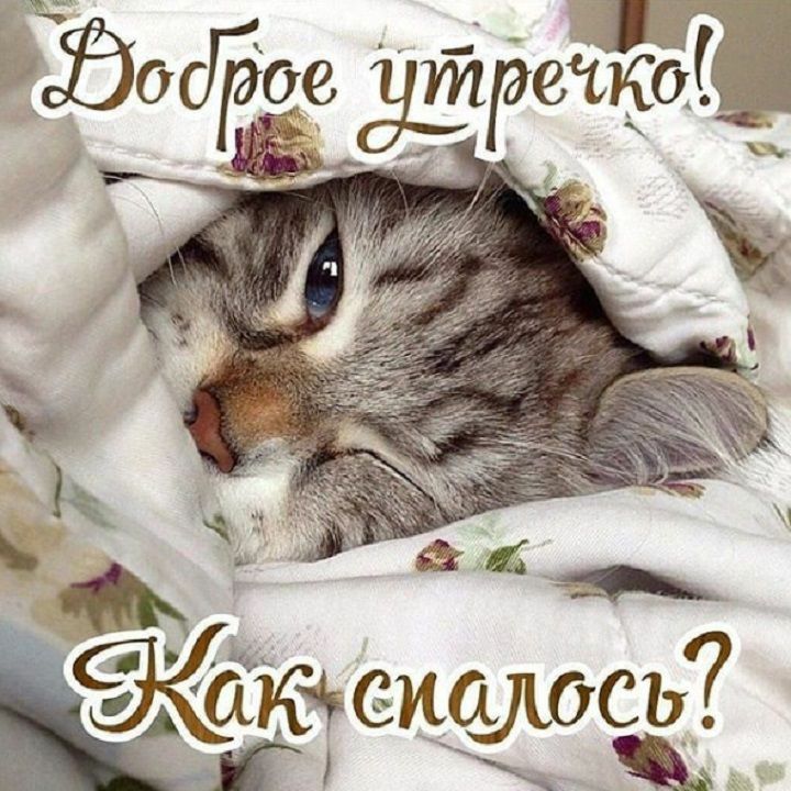 Ё 4 СЪ7