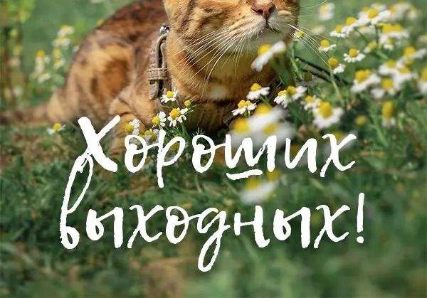 _ жадным