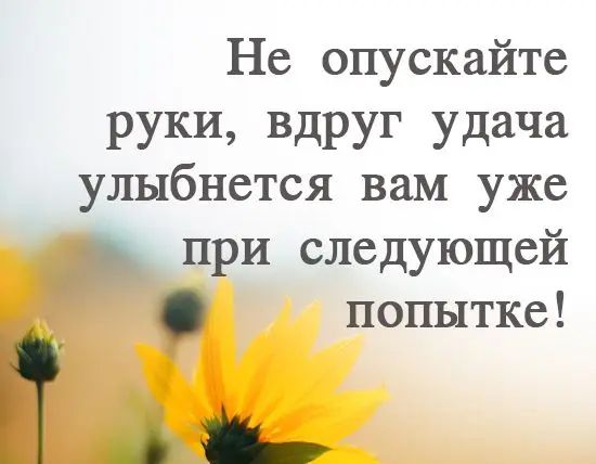 Не опускайте руки вдруг удача улыбнется вам уже при следующей попытке
