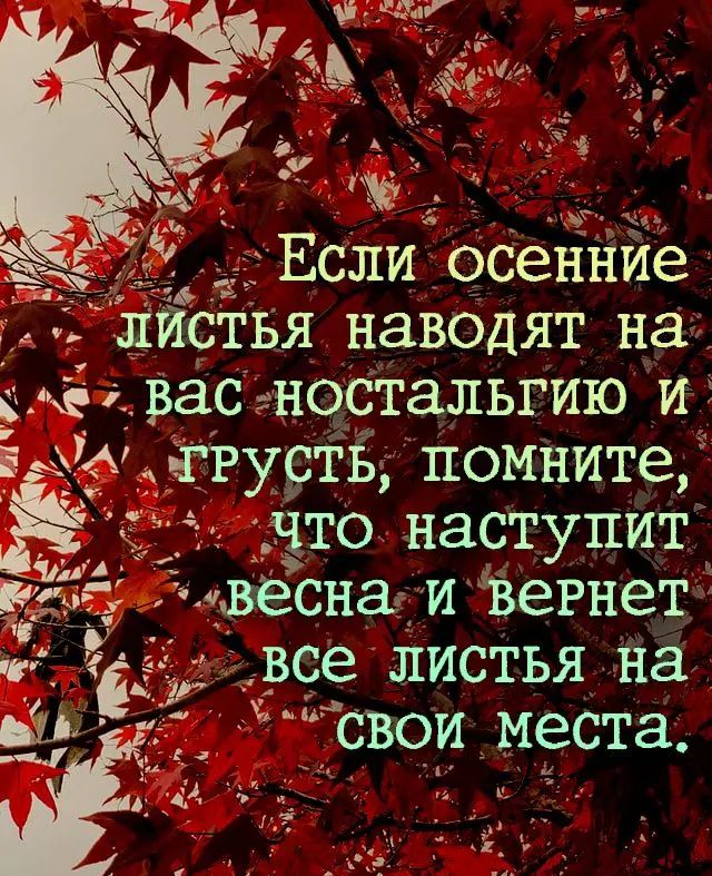 Если осеннйе листья наводят на іі васностальгию И Е И грусть помните что наступит чвесна и ЪеРнет все листья на Ёсвои места