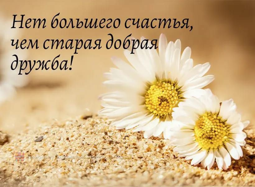 Нет большего сч _ чем старая добрий дружба