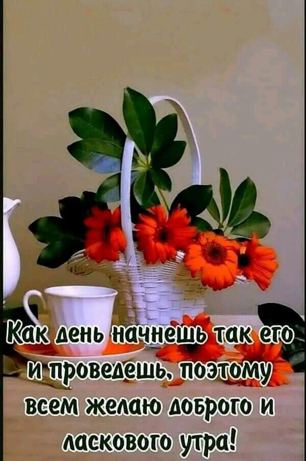 Как день наннешЬ так иіітроведешь поэщому всем жедаю доврого и ласкового утра