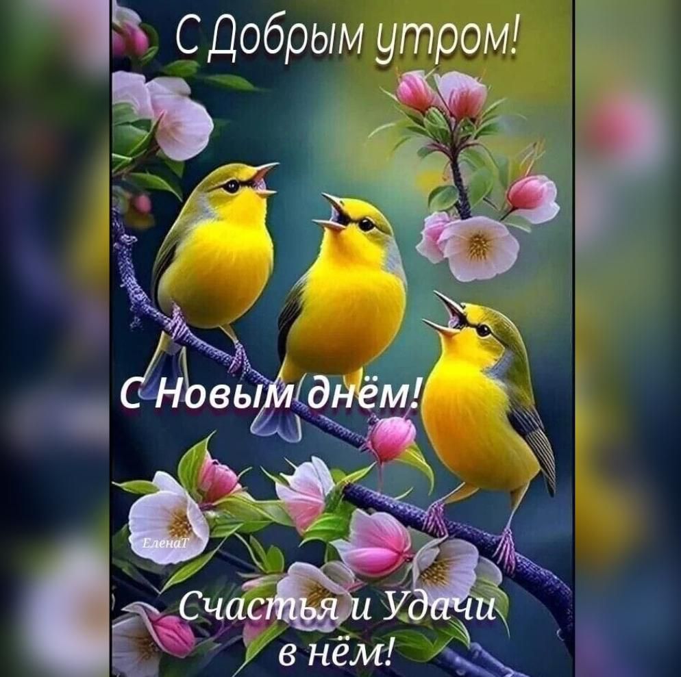 С Добрым утром