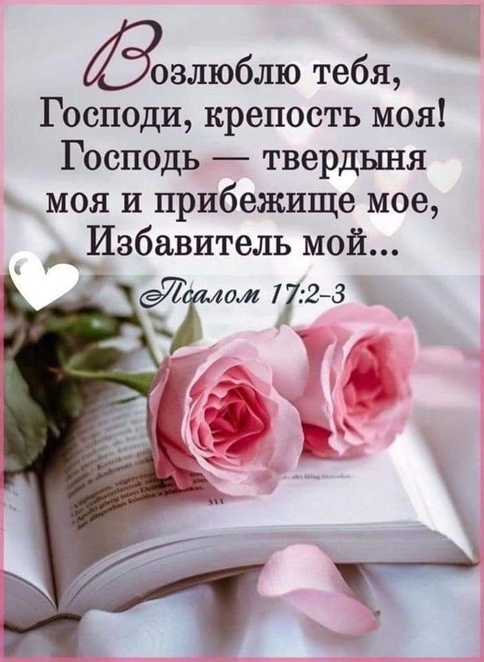 злюблю тебя Господи крепость моя Господь твердьшя моя и прибежище мое Избавитель мой Тлом 772 3