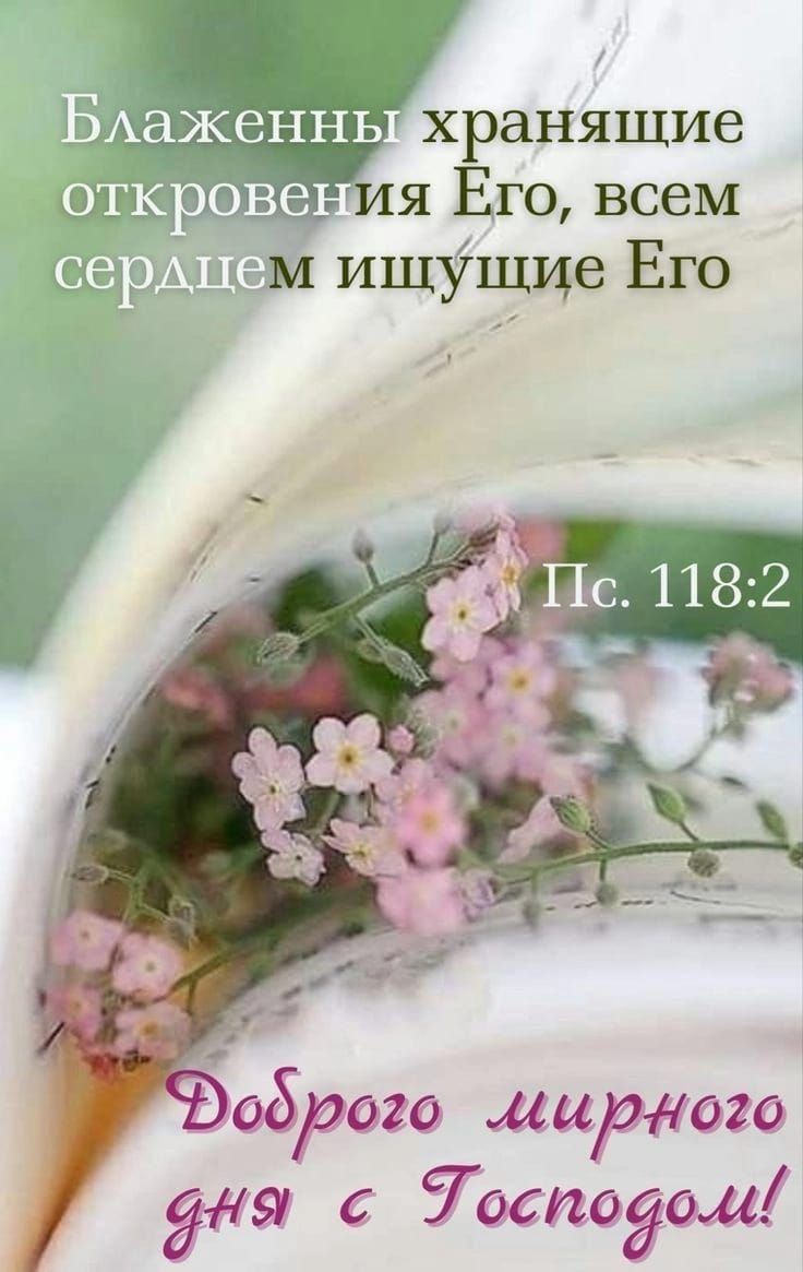 _ оброго мирного для 700109044