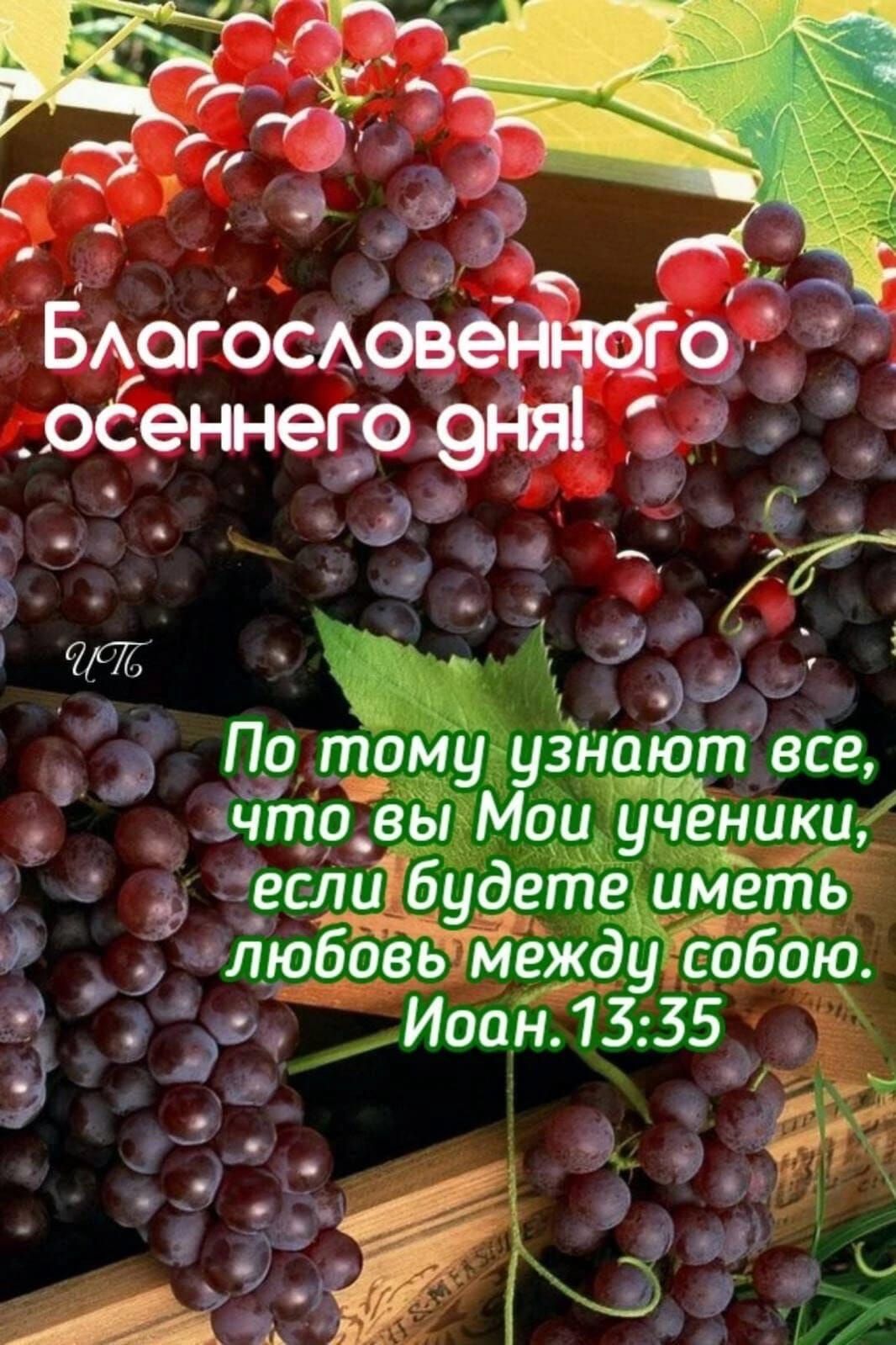 па цу Ёнаёгтвёе ч а вы ди ученики о ь _ _ з гели будёте имё_гЁЕ Л