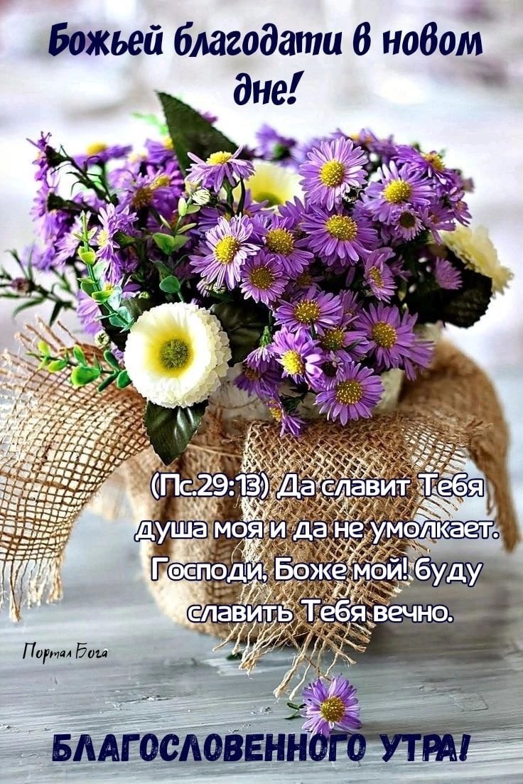 Божьей благодати В новой