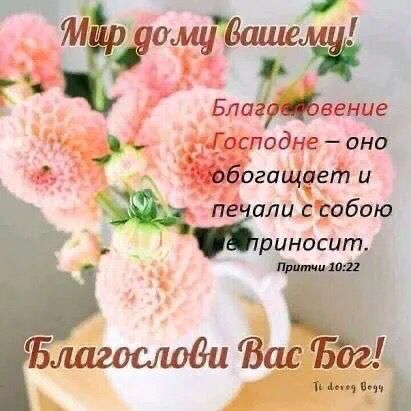 ЁУШЁМ Блад же Одне оно гиде ей и да дт или свобою риносит Благослоди Васг