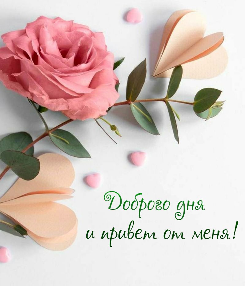бЭодРого энд и иРиёем Ом мстя