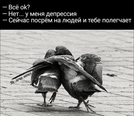Всё ОК Нет у менядепрессия Сейчас посрем на людей и тебе полегчает