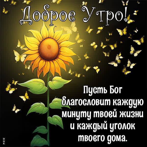 Пусть Бог _ Гбпагосдовит _аж99ю минуту твоеи жизни и кажуый уголок твоего дома