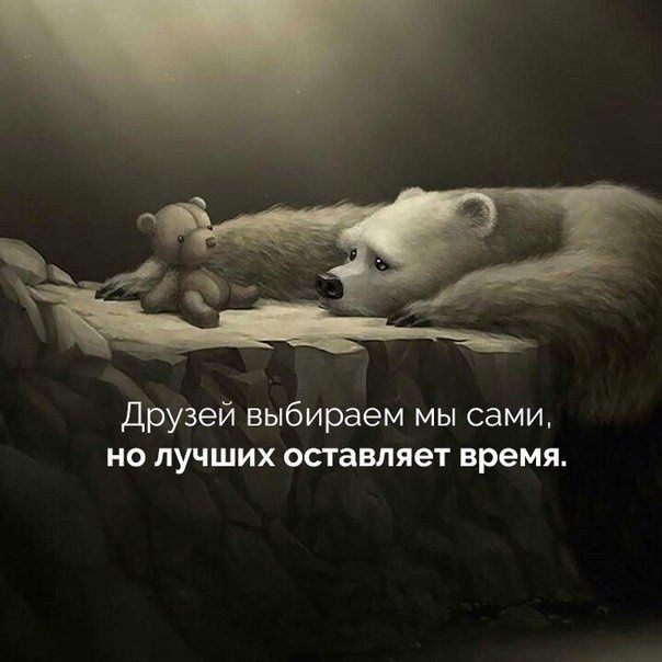 друзей выбираем мы сами но лучших оставляет время