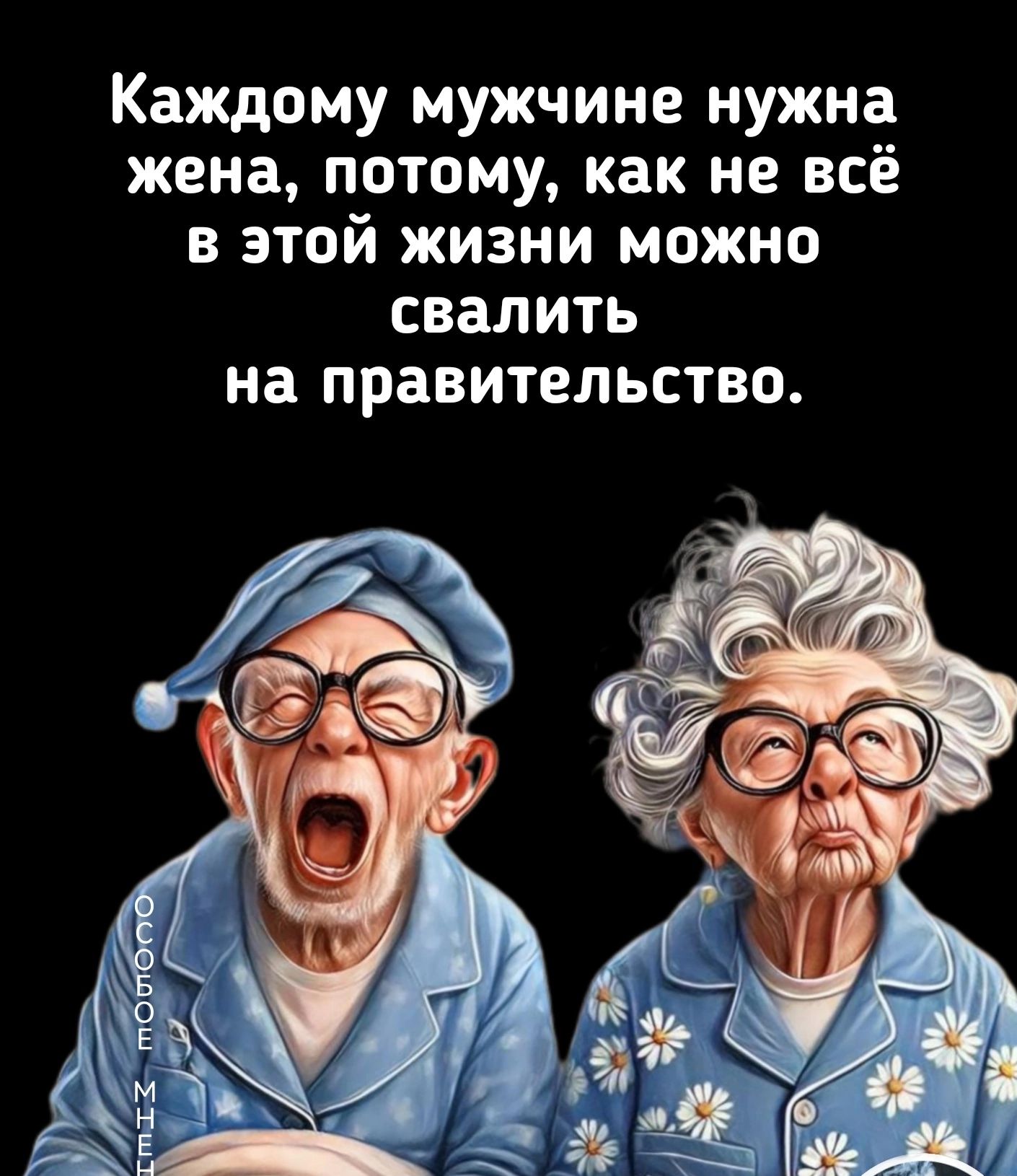 Каждому мужчине нужна жена потому как не всё в этой жизни можно свалить на ПРЗВИТЕЛЬСТВО