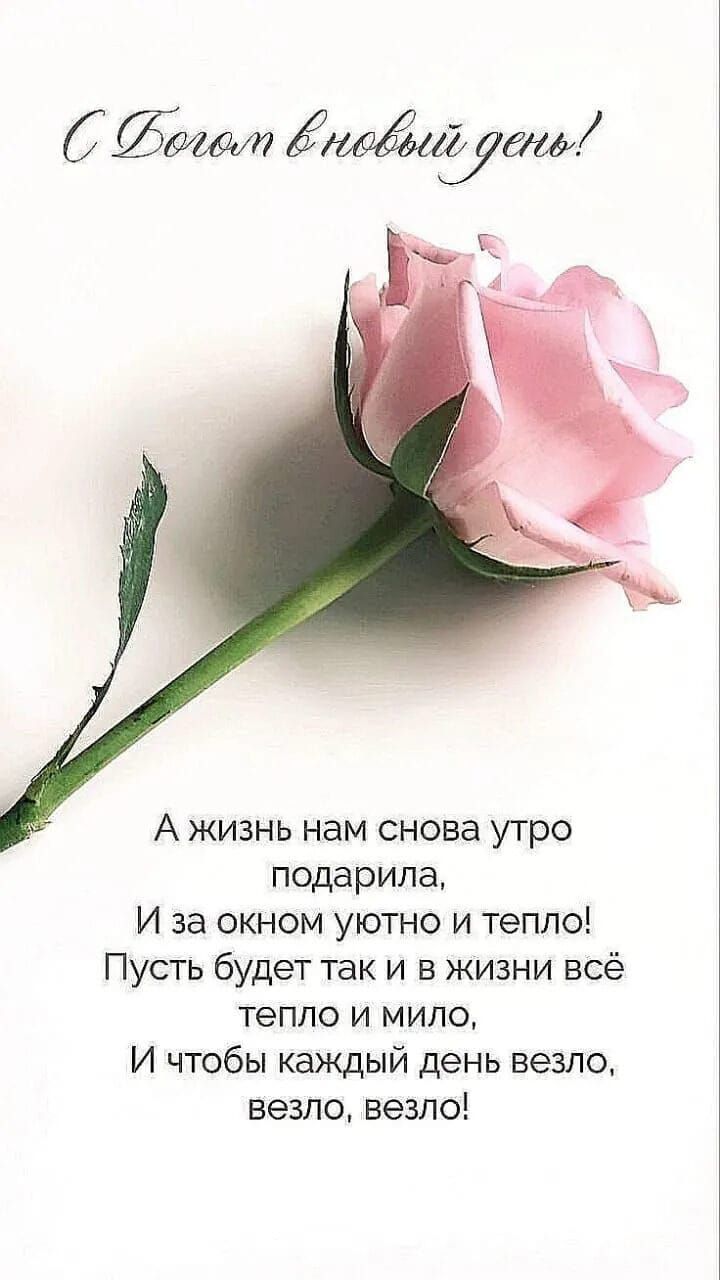 А жизнь нам снова утро подарила И за окном уютно и тепло Пусть будет так и в жизни всё тепло и мило И чтобы каждый день везло везло везло