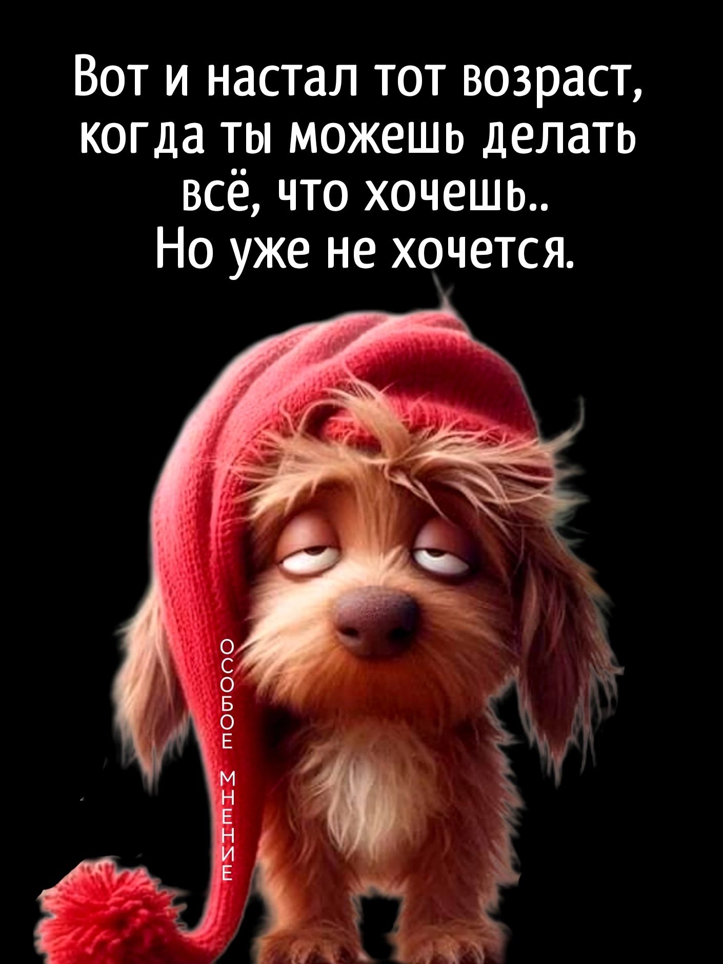 Вот и настал тот возраст когда ты можешь делать всё что хочешь Но уже не хочется