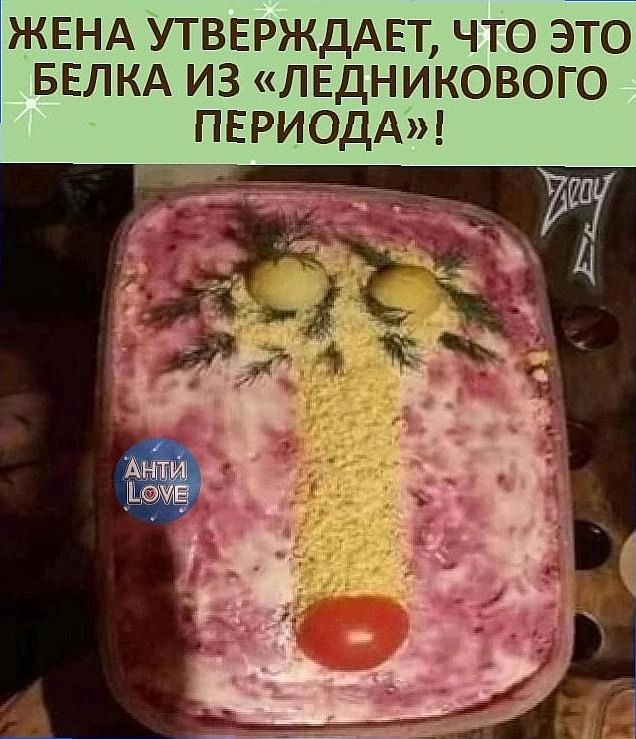 ЖЕНА УТВЕРЖДАЕТ что эт БЕЛКА из лвдникового ПЕРИОДА