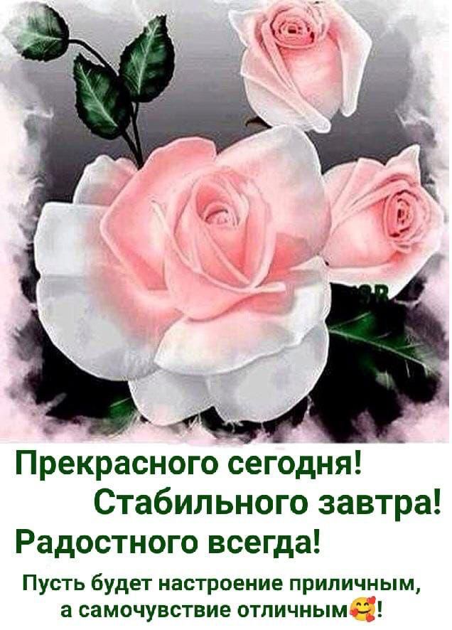 ъ Прекрасного сегодня Стабильного завтра Радостного всегда Пусть будет настроение приличным а самочувствие отличным