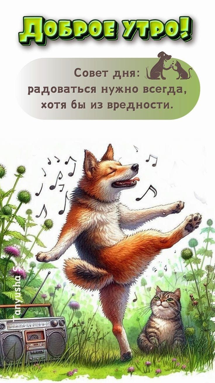 луавоВжес Совет дня ЪГ радоваться нужно всегда хотя бы из вредности