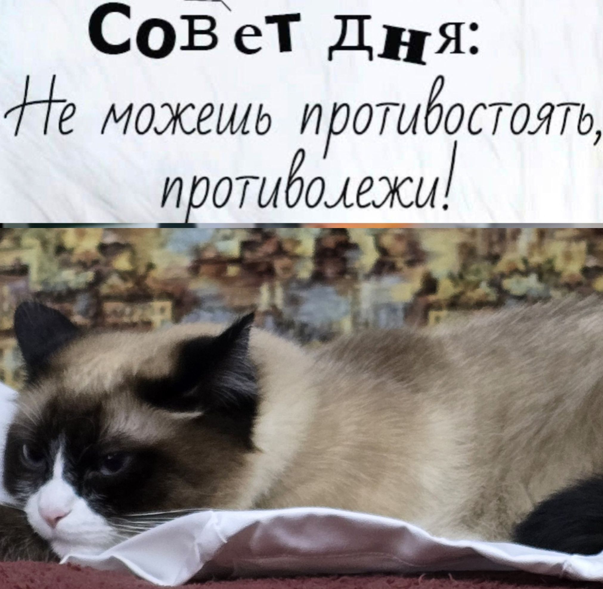 Сов ет Дыня е можешь противостоять противолежи