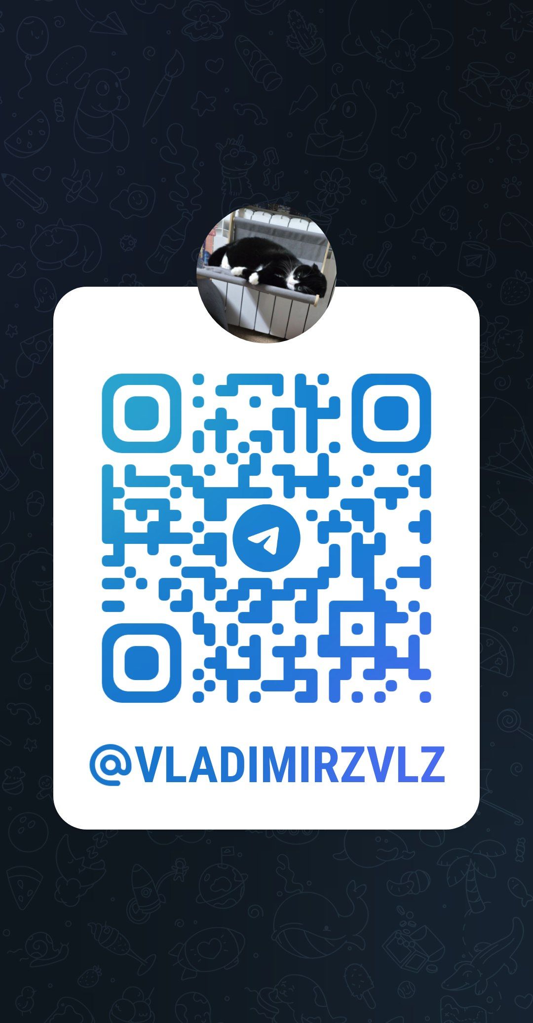 @VLADIMIRZVLZ