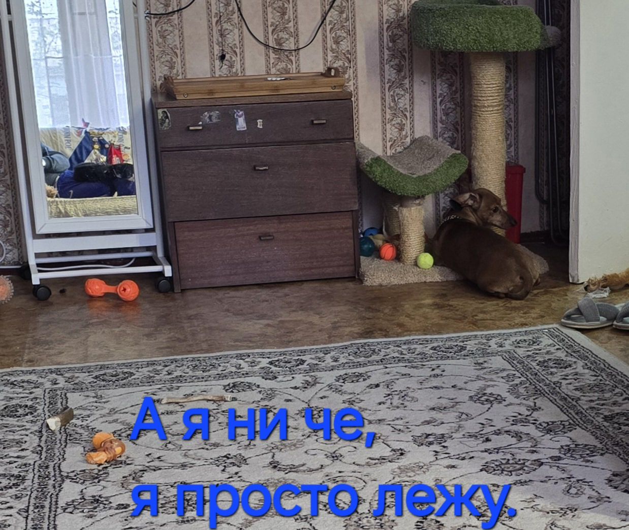 А я ни че, я просто лежу.